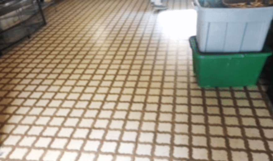 6ace2385bf3f455bc9fe3be5b80e52b6